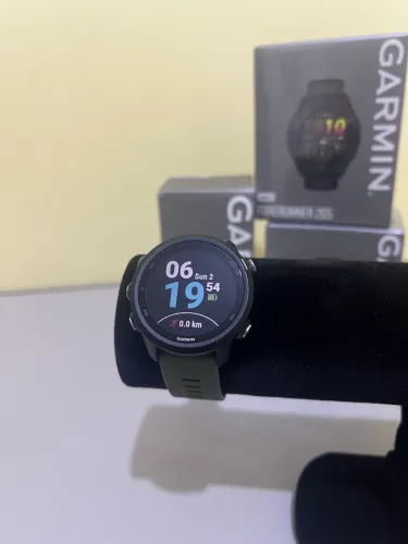 Garmin 245