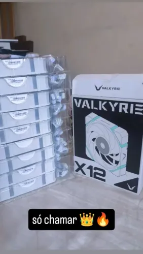 fans Valkyrie x12