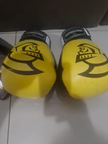 Luva Muay Thai/Boxe Pretorian 14 0z