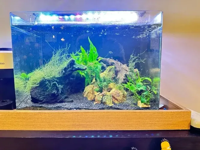 Aquário OCEAN TECH 72L