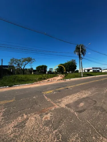 Terreno para aluguel com 1750 m², frente para Rondovia - Jardim Mary, Bauru - SP