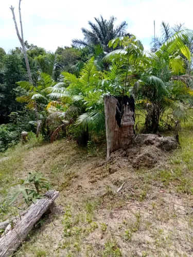 Vende-se terreno no Ramal São Benedito /no Ramal da benção 