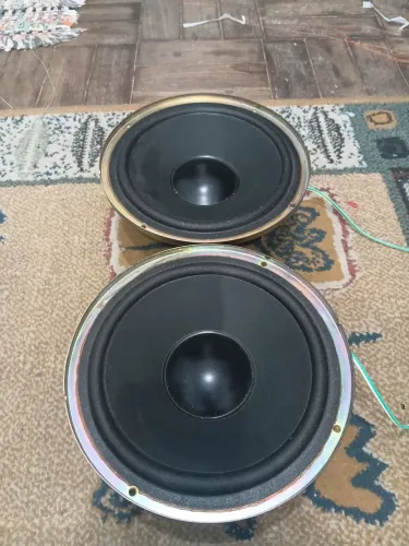 Alto falante 8 polegadas Aiwa original Batidão