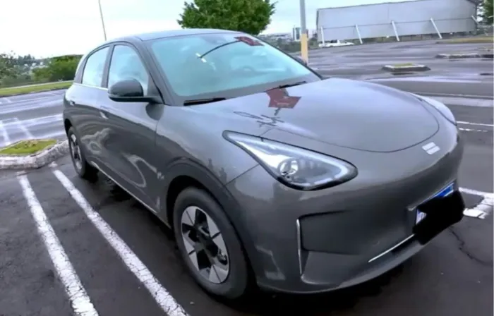 LOCAÇÃO CARRO ELÉTRICO