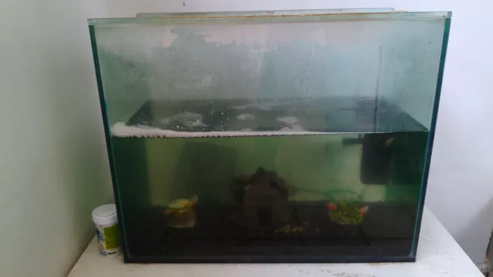 Vendo aquário