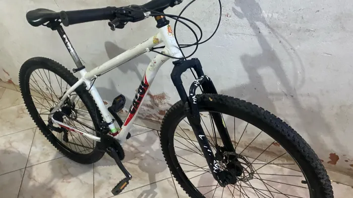 bike aro 29