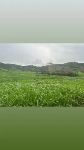 área de terra de 247 alqueires com excelente localização na região da cidade de