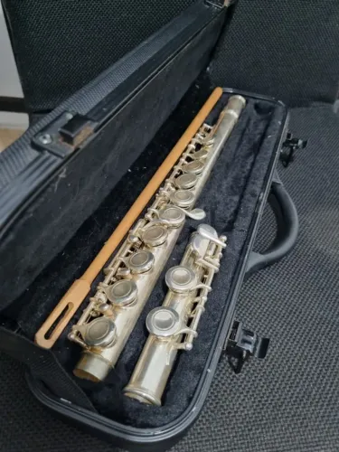 Flauta Transversal Stagg 77 Fe Prata (Faltando bocal)
