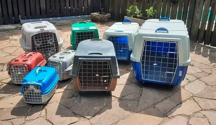 Caixas de Transporte para Cães e Gatos - Leia o Anúncio