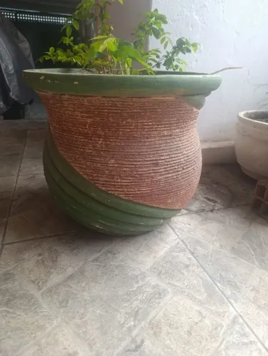 Jaboticabeira