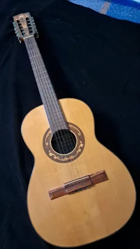Viola Del Vecchio Acústica 10 Cordas