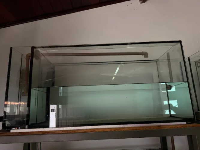 Vendo aquário com sump na lateral