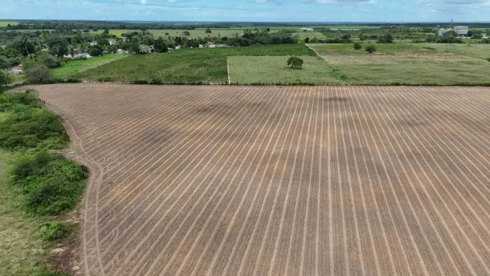 fazenda com 42 hectares na região de Macaiba  terra desmatada e excelente para plantio e. 
