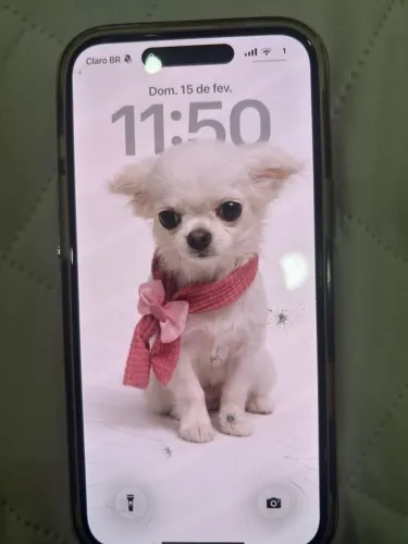 iPhone 16 Plus seminovo