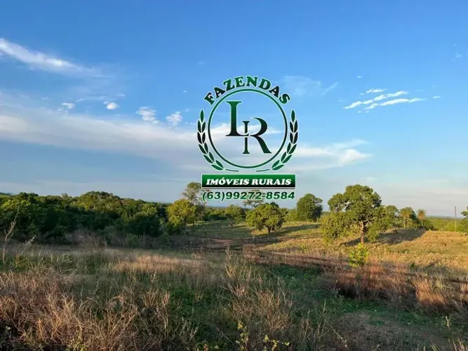 Fazenda Próximo a Paraiso Tocantins