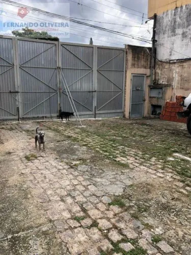 Terreno para Venda em São Paulo, Limoeiro, 1 dormitório, 1 banheiro, 1 vaga