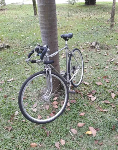 Vendo Bicicleta monark 10