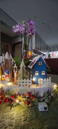 Arranjo de Natal com Orquidea