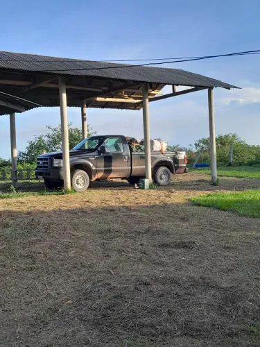 Ford F-250 XL 3.9 4X4 TB Diesel 2009