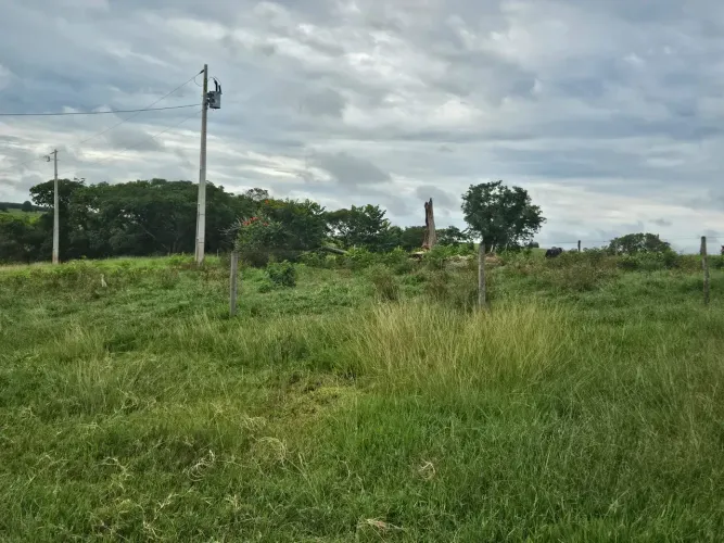 FAZENDA DE PECUÁRIA À VENDA  170 ALQUEIRES PAULISTAS  APARECIDA DO TABOADO/MS