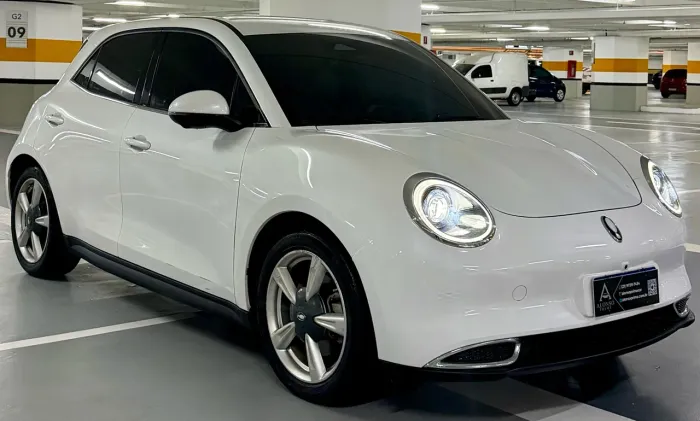 GWM Ora 03 Skin (elétrico) 2024