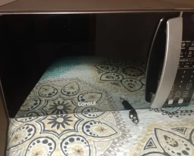 Microondas
