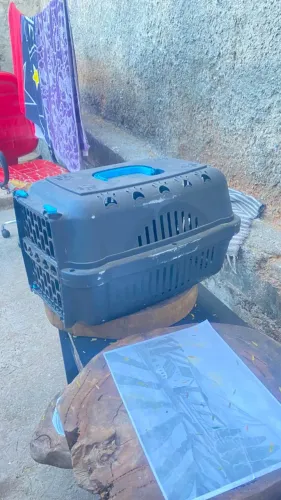 Caixa de transporte para pet 