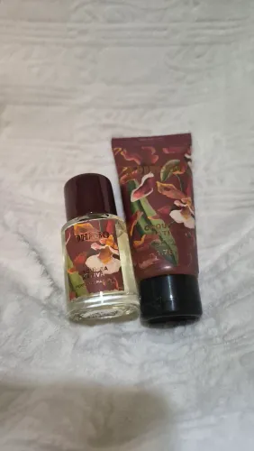 Kit Phebo Orquídea Nativa