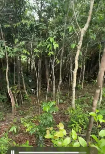 Vendo terreno em morros com rio dentro