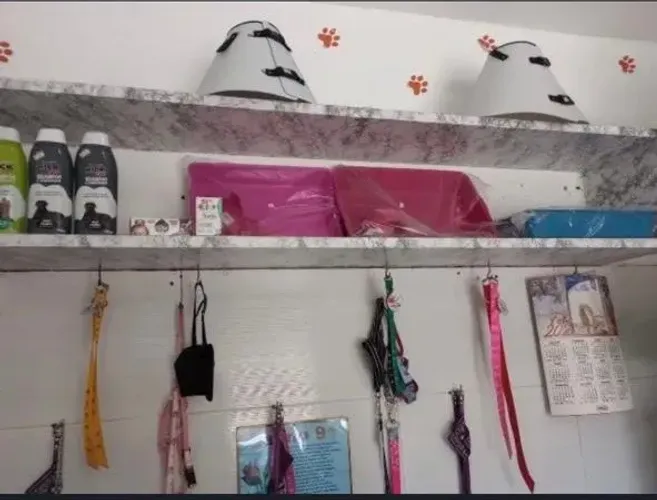 Pet shop 20 mil