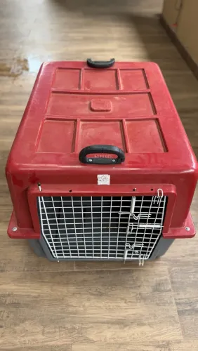 Caixa de transporte para cães grandes N 5