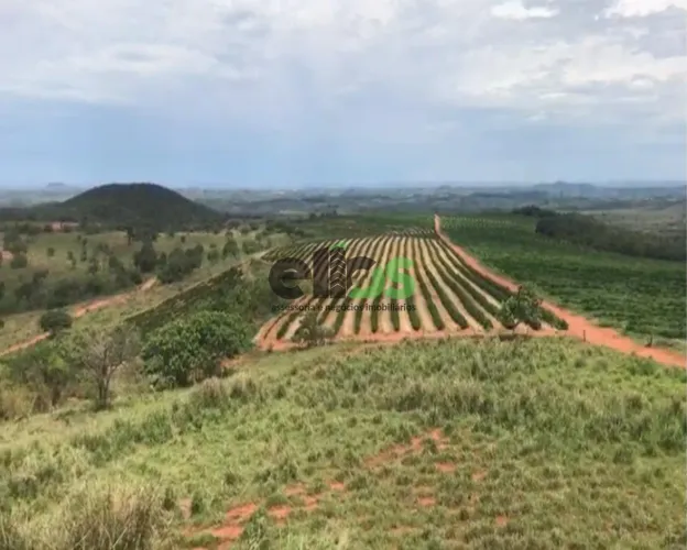 FAZENDA RURAL em Presidente Olegário - Minas Gerais,