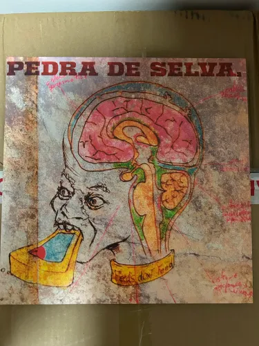 lp vinil - curumin: pedra de selva