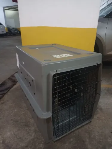 Caixa de transporte