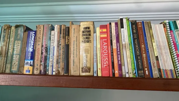 Grande Lote de Livros Antigos, Técnicos, Literatura e Dicionários