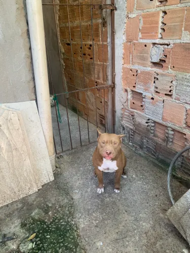 Doação