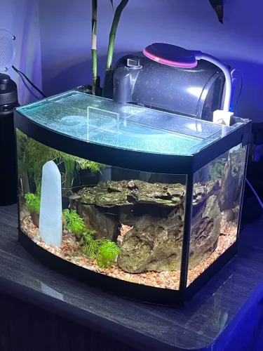 Aquário 10 litros com tampa