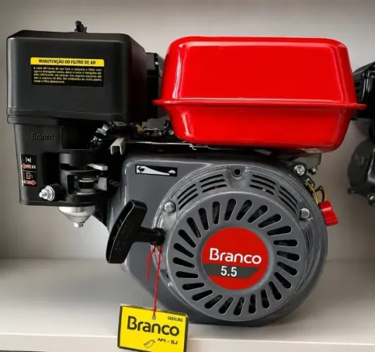 Motor Gasolina 5.0cv Branco Monocilíndrico C/ Alerta De Óleo