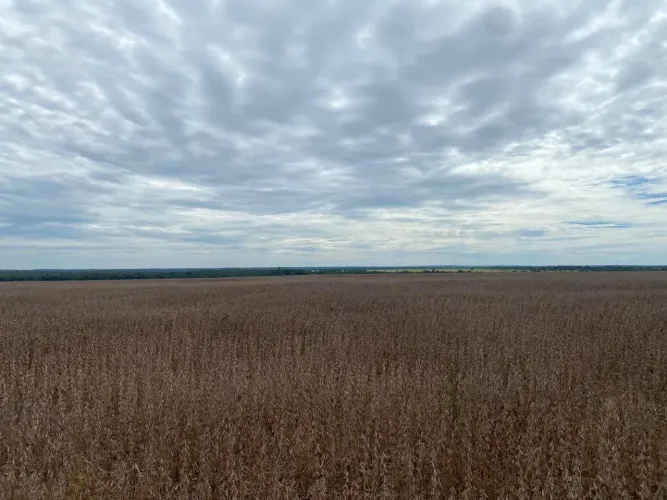 Fazenda vitrine boa pra silo tbm beira do asfalto