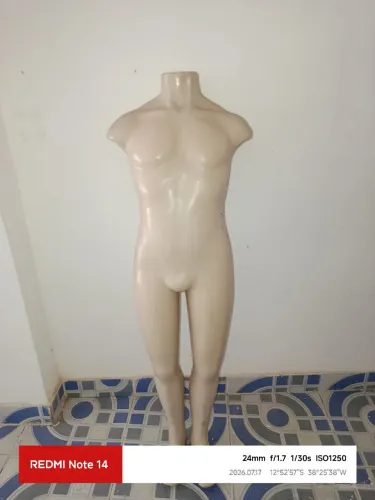 Manequins divesos