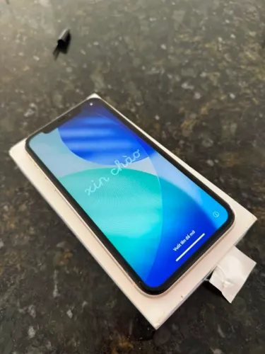iPhone 11