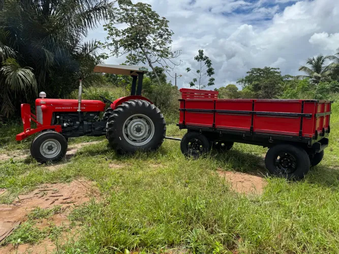 Trator massey ferguson 65x anúncio real 