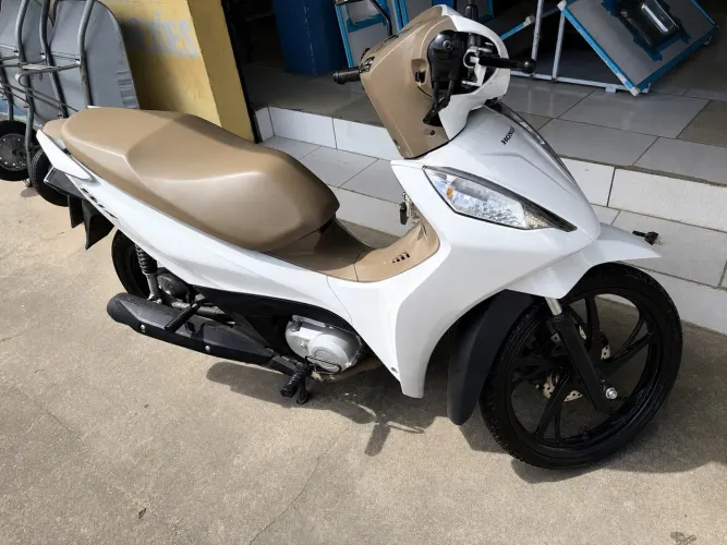 Biz ex 2025