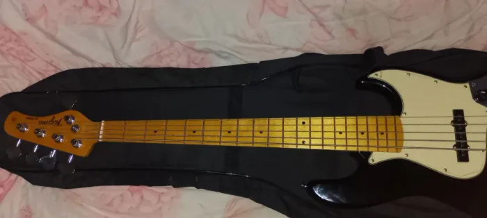 TAGIMA TW-73 5 cordas passivo novo no plástico