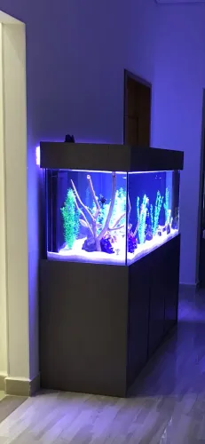 Aquário 500 litros