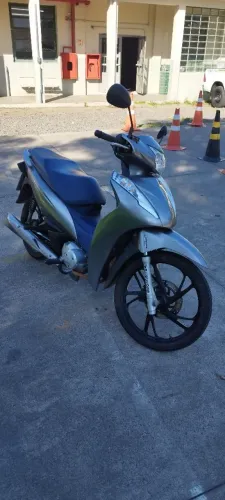 Biz 115 2020