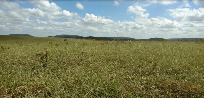 Imóvel para venda com 20000 metros quadrados em Zona Rural - Cordisburgo - MG