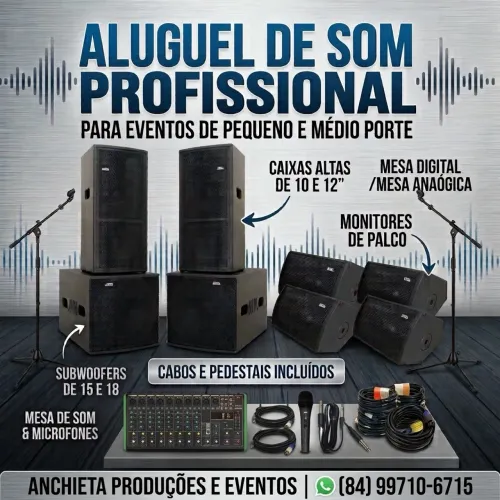 Aluguel de som profissional.
