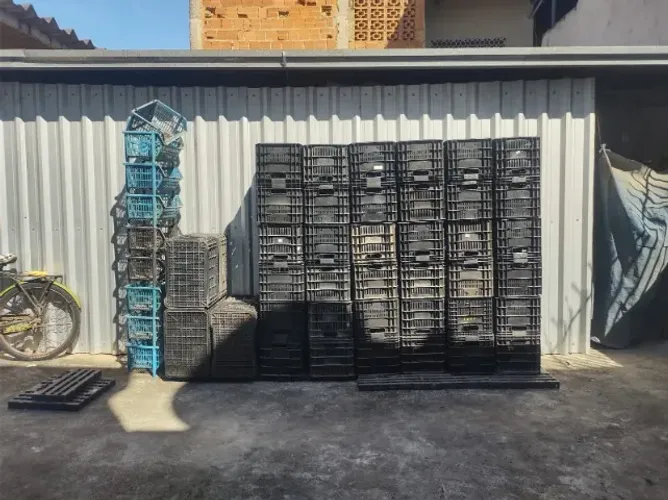 caixas CEASA Hortifruti Plástico Vazada Preto Usado