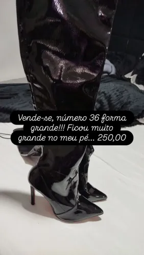 Bora cano alto verniz